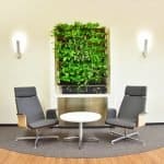geen wall commercial office design